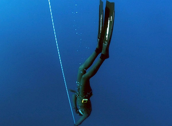 diving.jpg