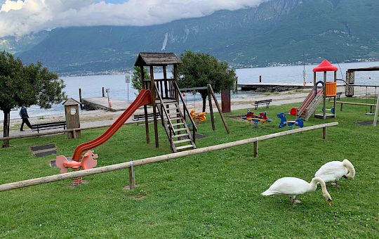 parco_giochi_con_cigni_2.jpg