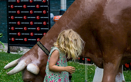 Univela Sailing ssdsrl - dsc07568.jpg